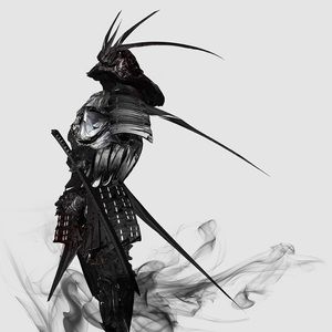 Meet your Posher, Ronald